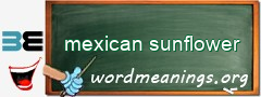 WordMeaning blackboard for mexican sunflower